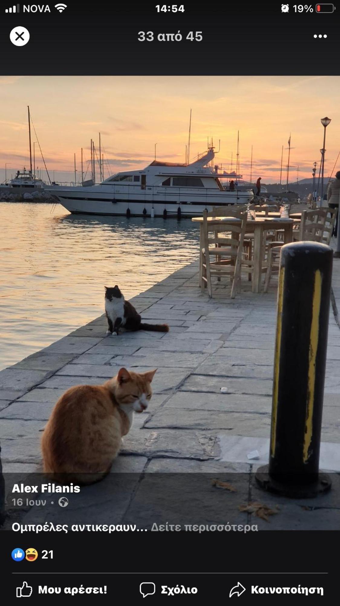 Apartmán Kali Stalonia Nikiti  Exteriér fotografie
